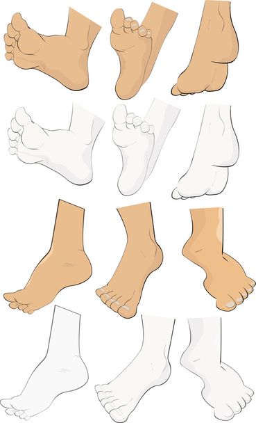 Feet the complete set - Vector, Image