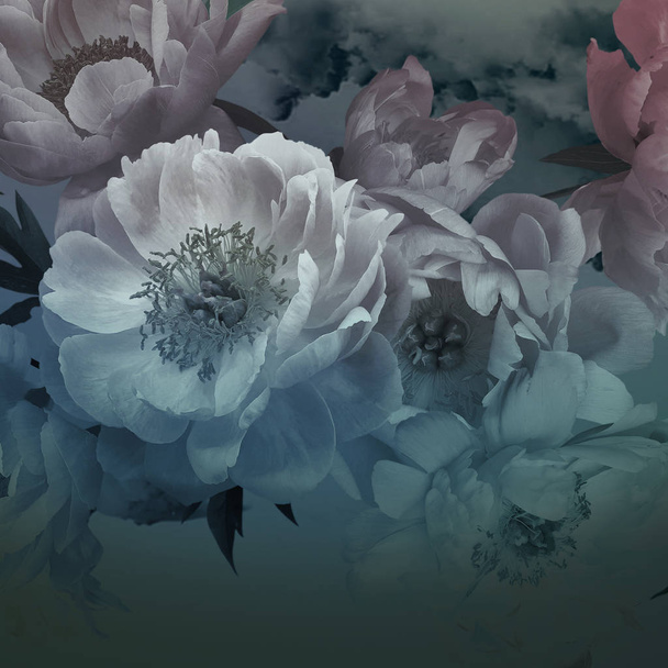 Tarjeta floral vintage. Flores de peonías de cerca
. - Foto, imagen
