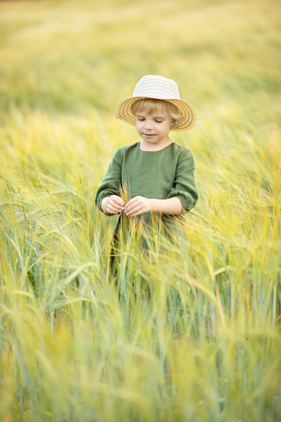 Happy girl walking in golden wheat, enjoying the life in the field. Nature beauty and field of wheat. Family outdoor lifestyle. Freedom concept. Cute little girl in summer field - Photo, Image