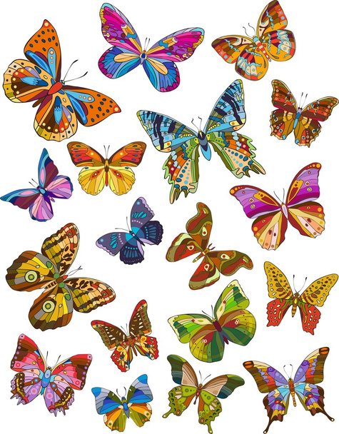 Set of butterfly - Vector, Image