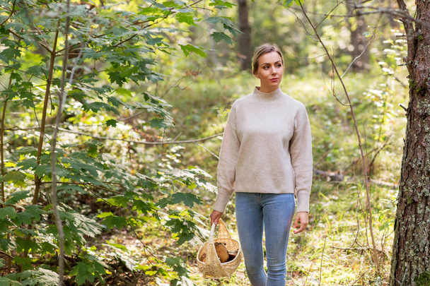 woman with basket picking mushrooms in forest - Photo, Image
