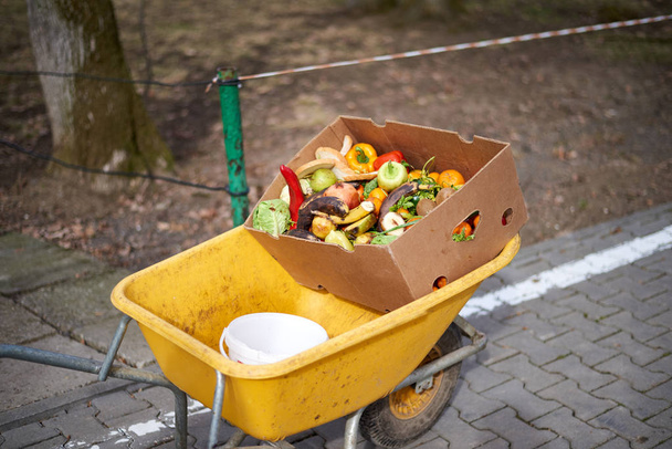 Chariot jaune avec fruits et légumes pour les animaux
 - Photo, image