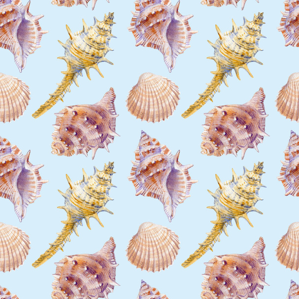 Marine seamless patern of sea shells. Watercolor illustration for textile, greeting cards, invitations. - Foto, Imagen