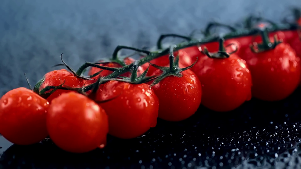 tomates cherry frescos en rama con agua salpicada
 - Imágenes, Vídeo