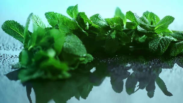 selective focus of fresh organic mint leaves with sprinkling water on glass surface - Footage, Video