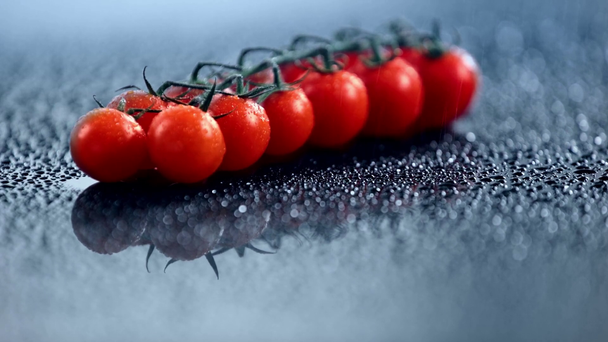 селективный фокус свежих помидоров черри на ветке с брызгающей водой
 - Кадры, видео