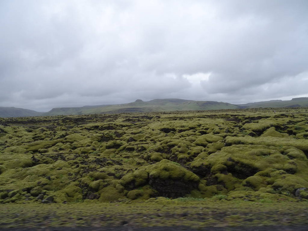 Campo de lava na Islândia que cobre por musgo verde na Islândia - Foto, Imagem