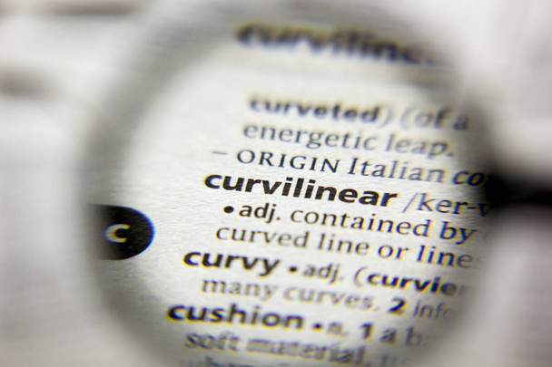La palabra o frase Curvilíneo en un diccionario
. - Foto, imagen