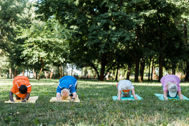 hombres y mujeres jubilados multiculturales estirándose sobre colchonetas de fitness en el parque
  - Foto, Imagen