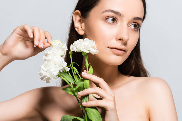 beautiful brunette woman touching white carnations and looking away isolated on grey - Фото, зображення