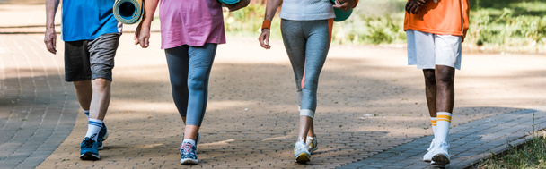 panoramica di pensionati anziani e multiculturali che tengono tappeti fitness e camminano nel parco
  - Foto, immagini