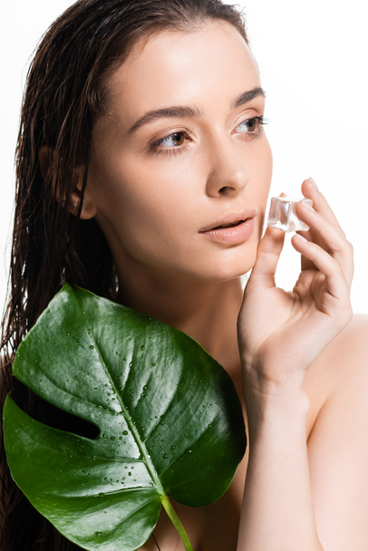 brunette wet young naked woman holding ice cube and green leaf isolated on white - Φωτογραφία, εικόνα