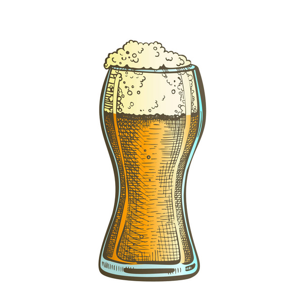 Dibujado estándar Pub vidrio color espuma cerveza Vector
 - Vector, imagen