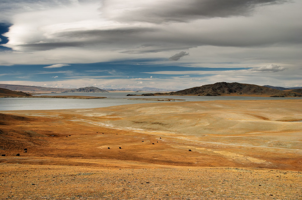 mongolski krajobraz - Zdjęcie, obraz