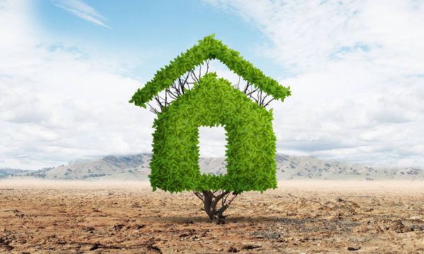 Zöld üzem formájú ház nő a sivatagban - Fotó, kép