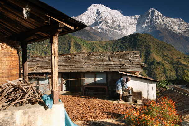 Himalaya dorp, nepal - Foto, afbeelding