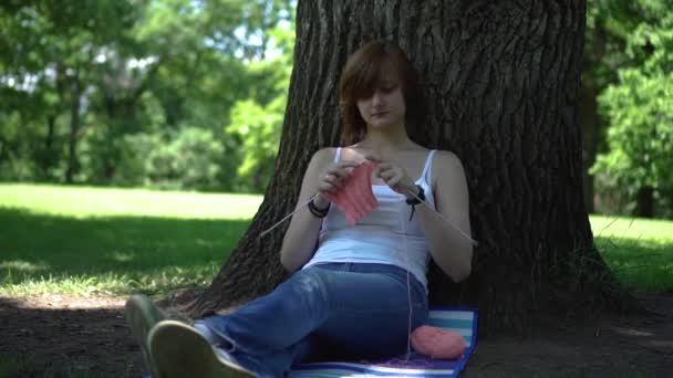 young girl doing knitting in the park under a tree - Filmati, video