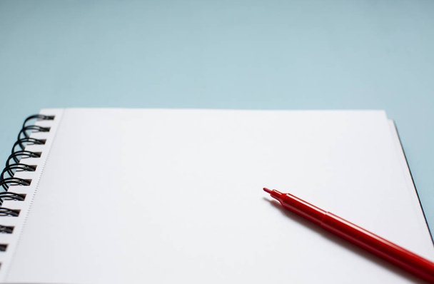 Red pen notebook - Zdjęcie, obraz