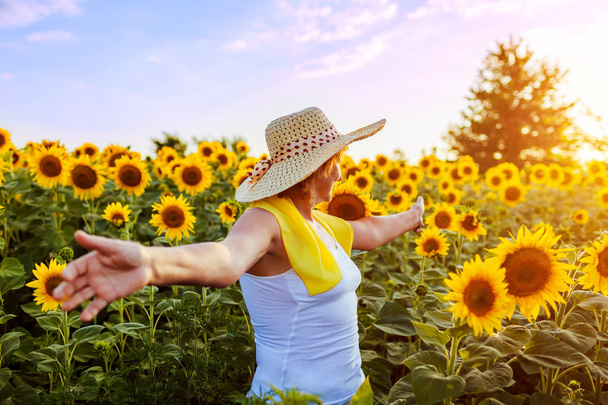 Senior woman walking in blooming sunflower field feeling free and admiring view. Summer vacation - Foto, Bild