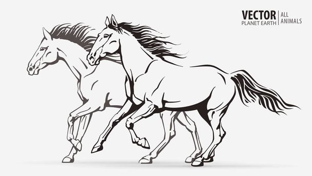 Όμορφα Αραβικά άλογα. Σιλουέτες από άλογα που τρέχουν. Ιπποτό ζώο. Αθλητισμού. Απεικόνιση διανυσματικών φορέων - Διάνυσμα, εικόνα