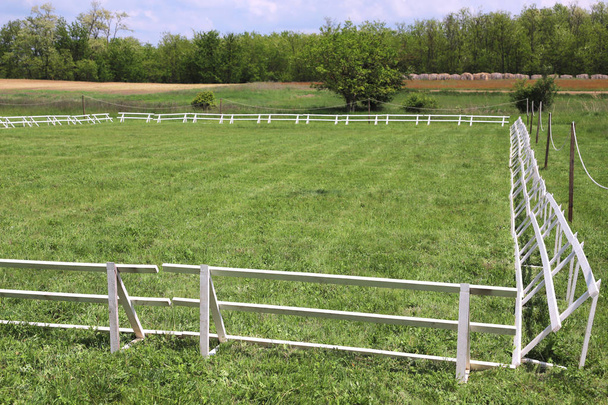 Zielona trawa pokryte jeździeckie Arena koni  - Zdjęcie, obraz