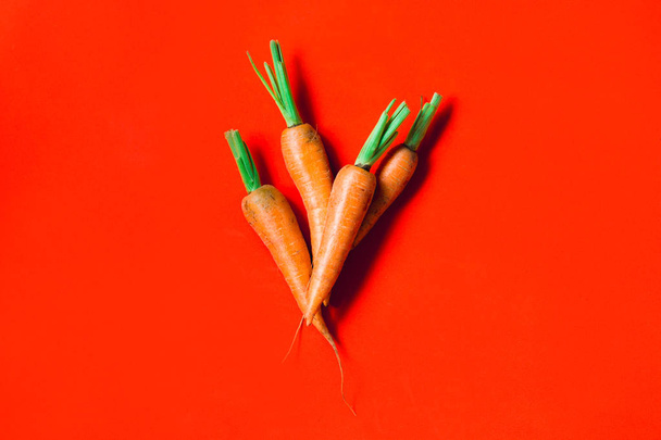 Unas zanahorias frescas sobre fondo rojo
. - Foto, Imagen