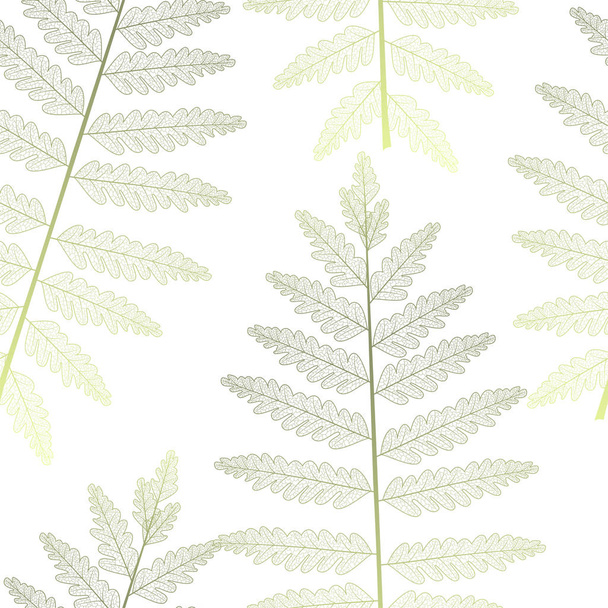 nahtloses Muster mit grünen Farnblättern. Vektorillustration. Folge 10. - Vektor, Bild