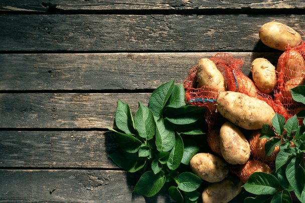 Potatoes crop in a bag on a wooden garden table background with copy space. - 写真・画像