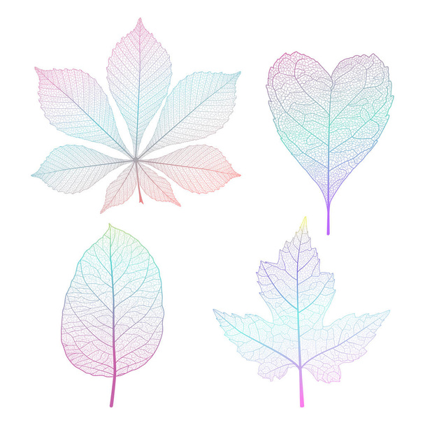 Set leaves on white. Vector illustration. EPS 10. - Vector, Image