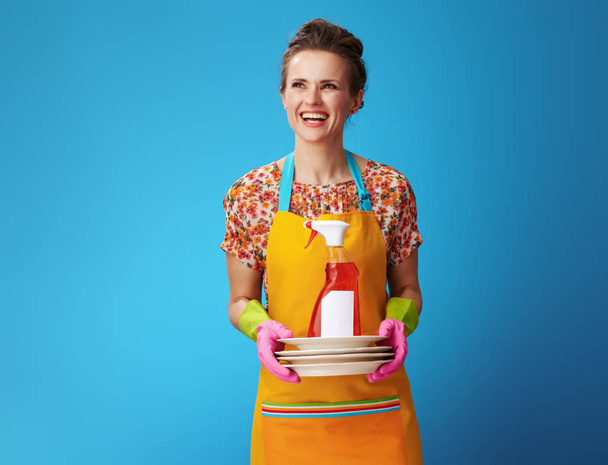 Hausfrau mit gewaschenen Tellern und Spülmittel - Foto, Bild