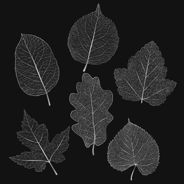 Set foglie d'argento colorate. Illustrazione vettoriale. EPS 10
. - Vettoriali, immagini