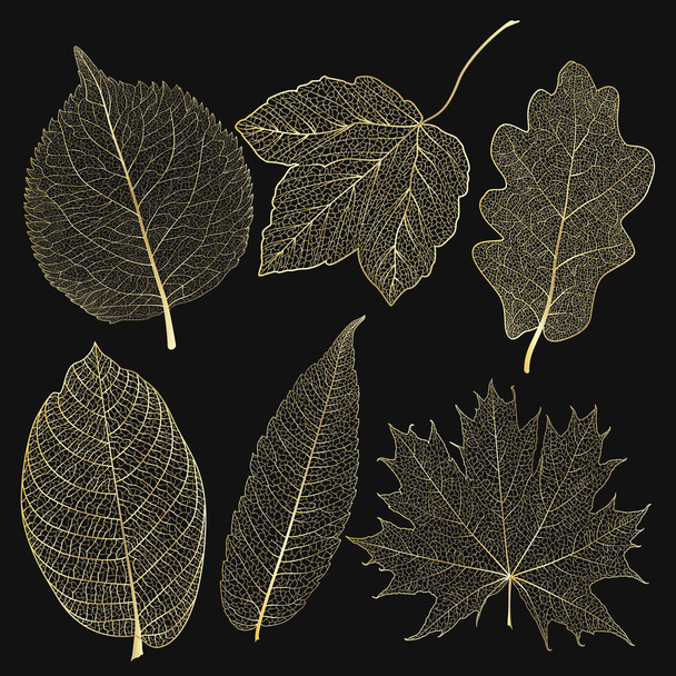 Set de hojas de oro de colores. Ilustración vectorial. EPS 10
. - Vector, imagen