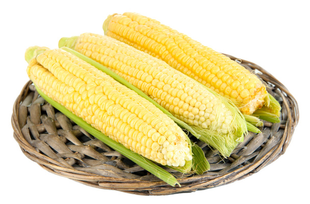 Huerto de maíz fresco aislado en blanco - Foto, Imagen