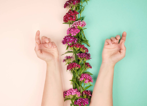 deux mains féminines à la peau légère et lisse et aux bourgeons d'une floraison
 - Photo, image