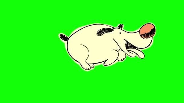 Boldog sárga kutya zöld háttér - Felvétel, videó
