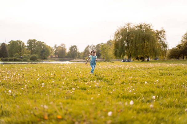 little girl on a dandelion field, at sunset, emotional happy chi - Fotoğraf, Görsel
