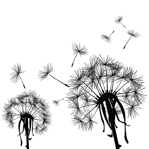 Black dandelion in the wind - Foto, Imagem