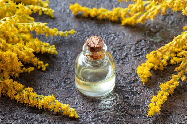 A bottle of goldenrod essential oil and fresh plant - Photo, Image