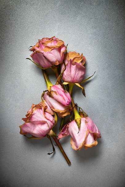 Kaunis kuivattu ruusu kukkii vanha kuvioitu metalli tausta
 - Valokuva, kuva
