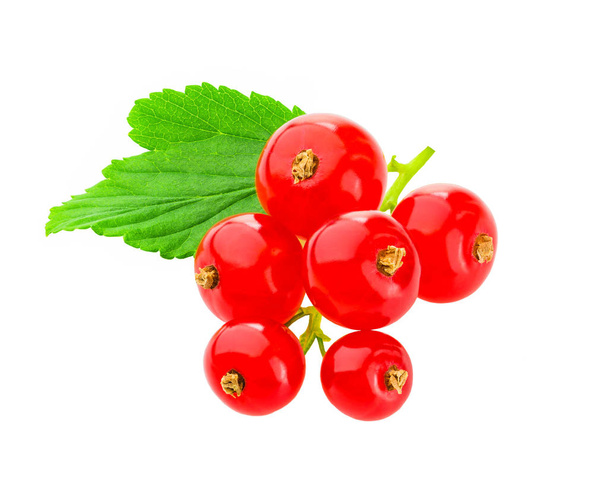 Красная смородина ягоды с зеленым листом изолированы на белом фоне
 - Фото, изображение
