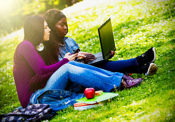 Deux jeunes filles souriantes utilisant un ordinateur portable au parc
. - Photo, image