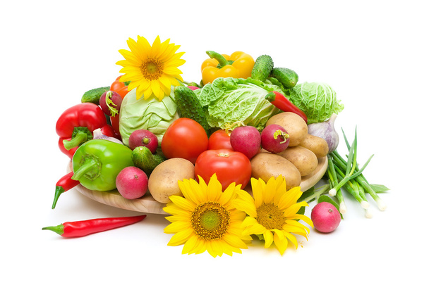 vegetables and sunflowers on a white background - Fotoğraf, Görsel