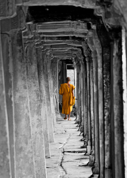 Monge budista em Angkor Wat, Camboja
 - Foto, Imagem