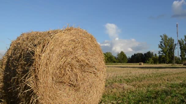 Straw bale roll - Footage, Video