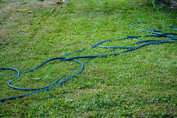 Wasserpfeifen-Schlange im Landhausgarten - Foto, Bild