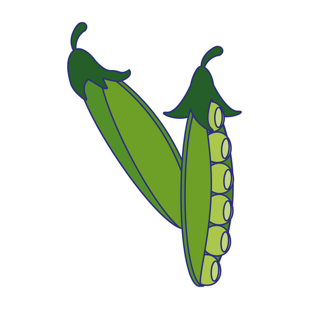 Borsó friss zöldség rajzfilm kék vonalak - Vektor, kép