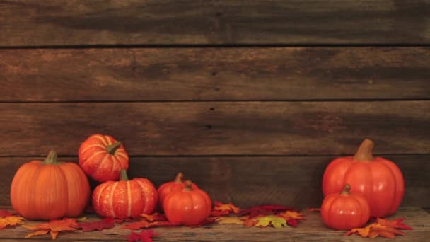 秋の葉とカボチャ古い茶色の木製のテーブルの背景、感謝祭 - 映像、動画