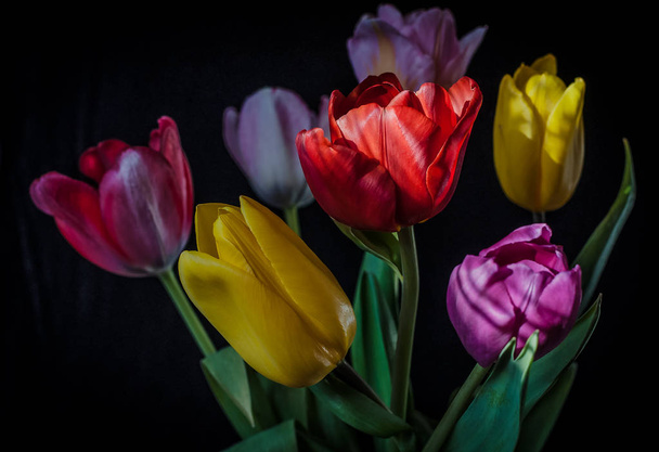 Букет з барвисті тюльпани - Фото, зображення