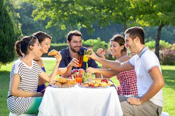 Amigos disfrutando de un relajante picnic
 - Foto, imagen