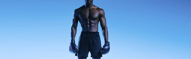 cropped view of shirtless african american boxer on blue background, panoramic shot  - Photo, Image